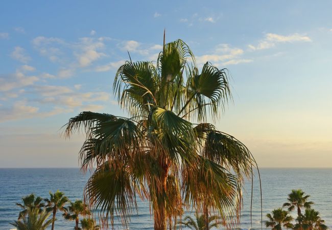Apartamento en Mijas Costa - Frente al mar- Apartamento Vista Mar - 3 dormitorios - Planta Alta - Dona Lola BEACH Resort - entre Marbella y La Cala de Mijas - Patricia - CS188 Apartamento en Mijas Costa - Frente al mar- Apartamento Vista Mar - 3 dormitorios - Planta Alta - Dona Lola BEACH Resort - entre Marbella y La Cala de Mijas - Patricia - CS188