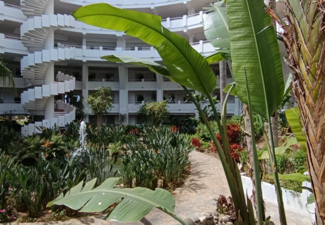 Apartamento en Mijas Costa -  Tu refugio en la Costa del Sol - Parque Miraflores CS233 Apartamento en Mijas Costa -  Tu refugio en la Costa del Sol - Parque Miraflores CS233