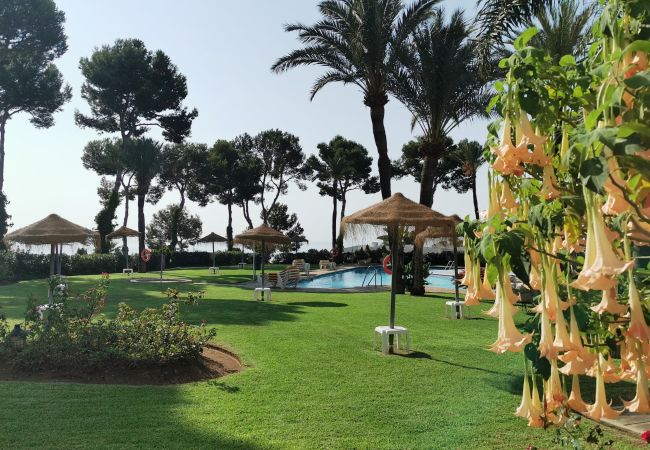 Apartamento en Mijas Costa -  Tu refugio en la Costa del Sol - Parque Miraflores CS233 Apartamento en Mijas Costa -  Tu refugio en la Costa del Sol - Parque Miraflores CS233