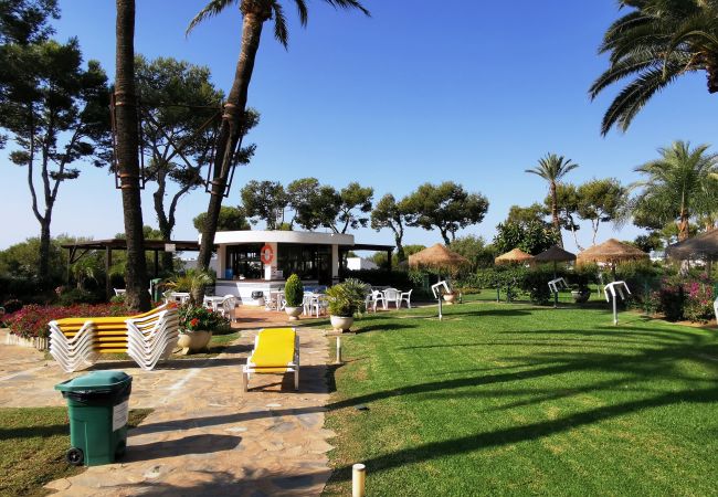 Apartamento en Mijas Costa -  Tu refugio en la Costa del Sol - Parque Miraflores CS233 Apartamento en Mijas Costa -  Tu refugio en la Costa del Sol - Parque Miraflores CS233