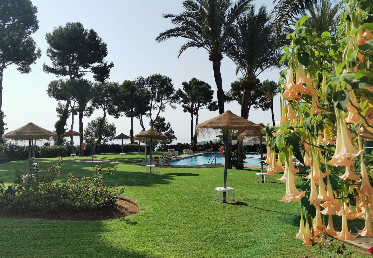 Appartement à Mijas Costa - Votre refuge sur la Costa del Sol Parque Miraflores Cs233 Appartement à Mijas Costa - Votre refuge sur la Costa del Sol Parque Miraflores Cs233