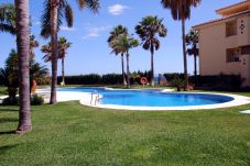 Pool. Front line beach, Palm trees. Benalmadena. Malaga. Costa del Sol